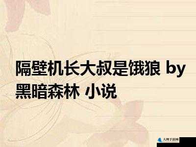 隔壁机长大叔是饿狼：怪叔叔的诱惑